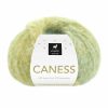 Caness - 2504 Caribbean Kiwi