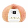 Caness - 2503 Sunshine