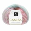 Caness - 2501 Fruity Honey