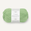 Tynn Peer gynt 100% norsk ull - 8733 Spring Green