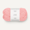 LINE - 4213 Blossom