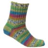 VIKING RAGGEN - 735 Multi tuttifrutti