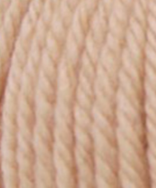 Sunset in Sahara - 307 Conch shell