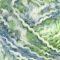 Colour Bubble - 207 Lime glimt