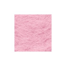 704 Rosa