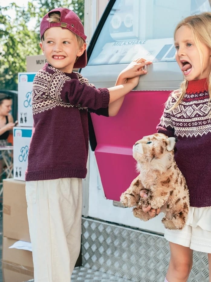 Setesdal genser junior (Oppskrift) - Bilde 2