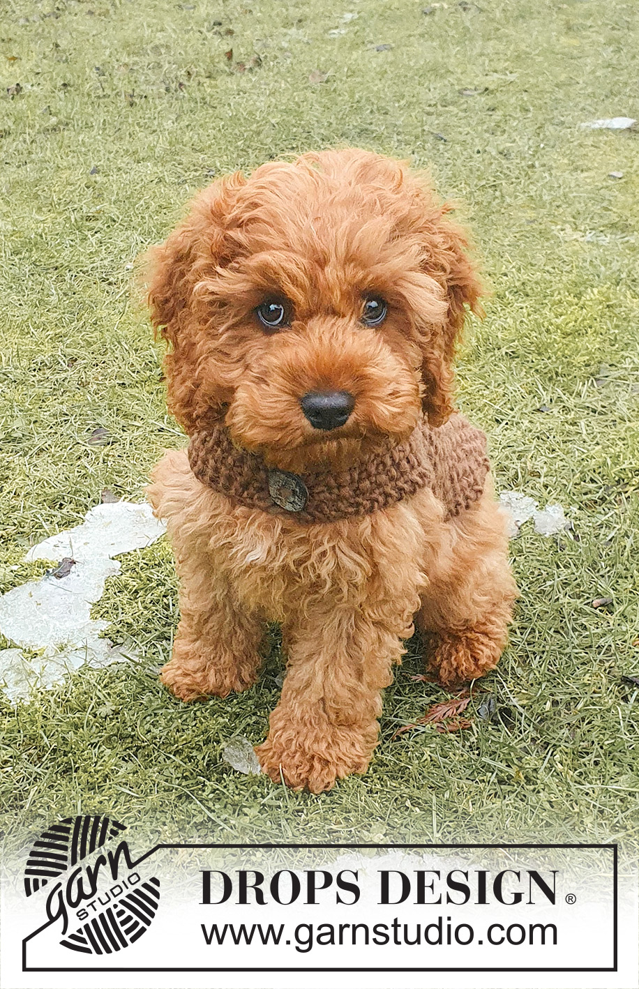 Best Day Ever Coat - Bilde 3