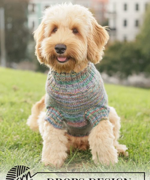 Floral Picnic Dog Sweater