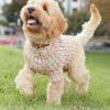 Happy Tails Dog Sweater