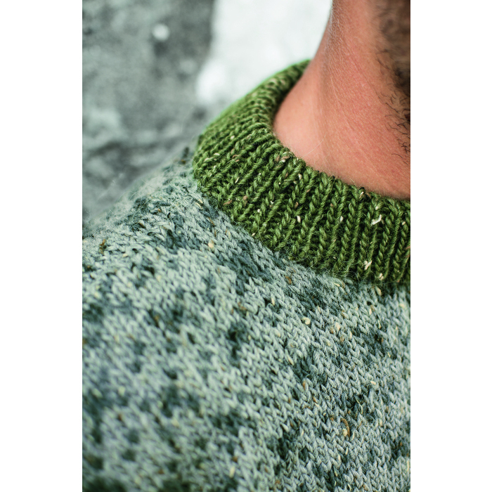 Herregenser - Bilde 2