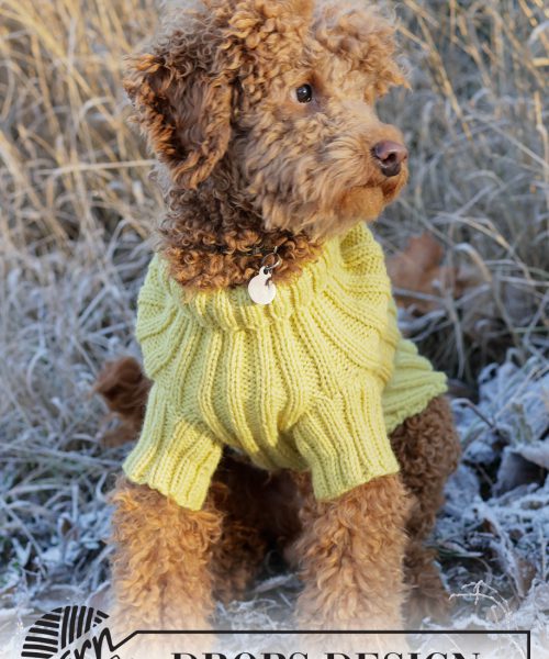 Mr. Sunshine (Oppskrift)