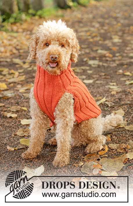 Outdoor Fun - Bilde 3