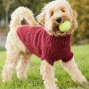 Snuggle Berry Dog Sweater