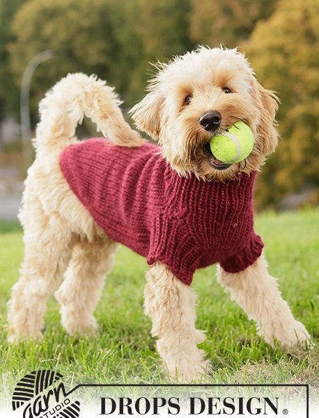 Snuggle Berry Dog Sweater