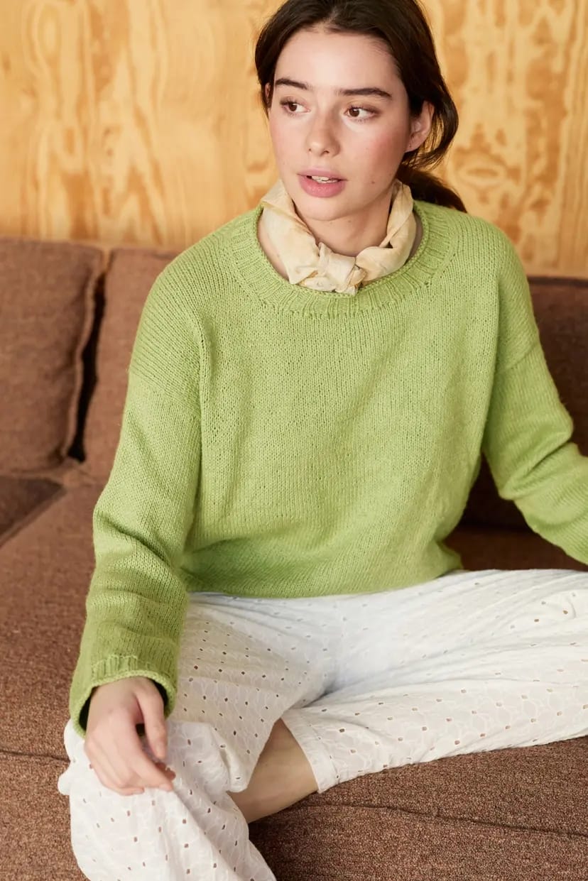 520 Disen sommergenser (Oppskrift)