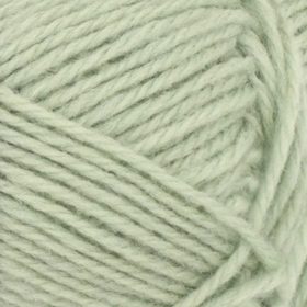 8521 Dusty light green