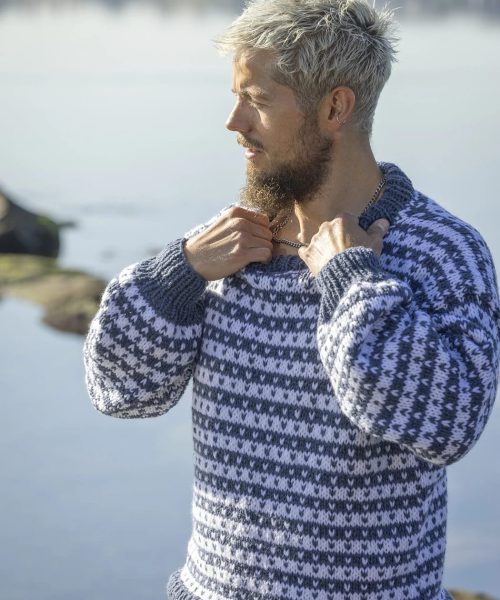 Skarv Genser